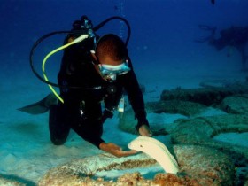 scuba-diving-mauritius