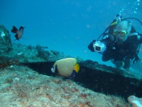 scuba-diving-mauritius-long-nose-butterfly-fish