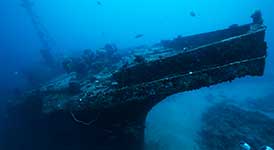 Wreck Diving Stella Maru